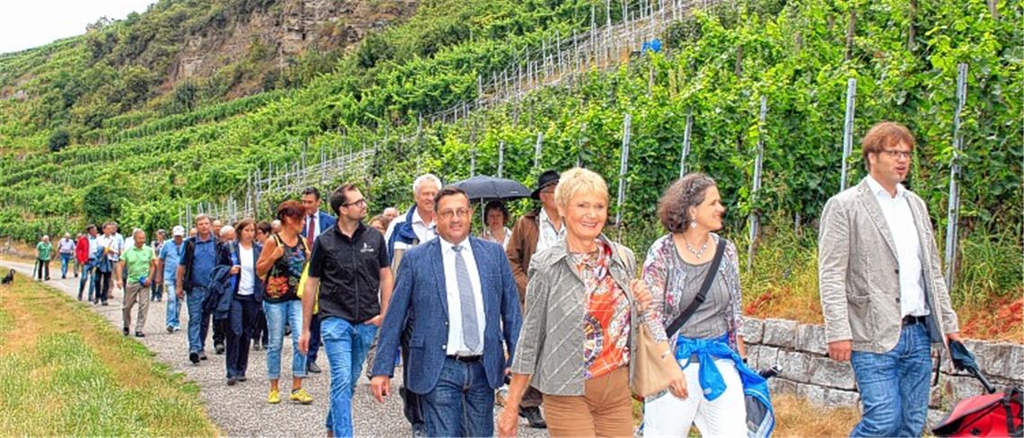 Steile Rebhänge zu pflegen, soll sich lohnen