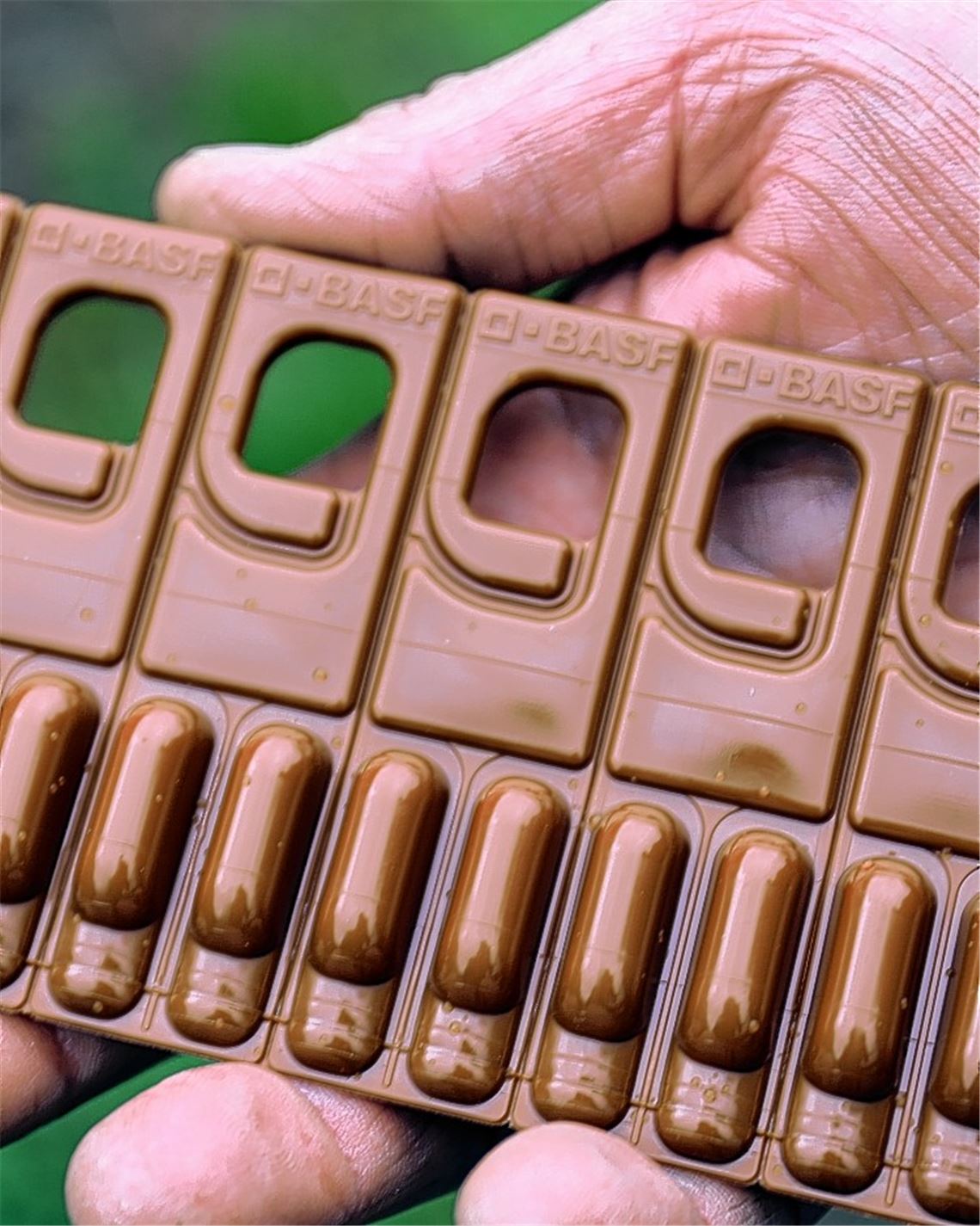 Lockstoff gegen Liebesspiele im Weinberg