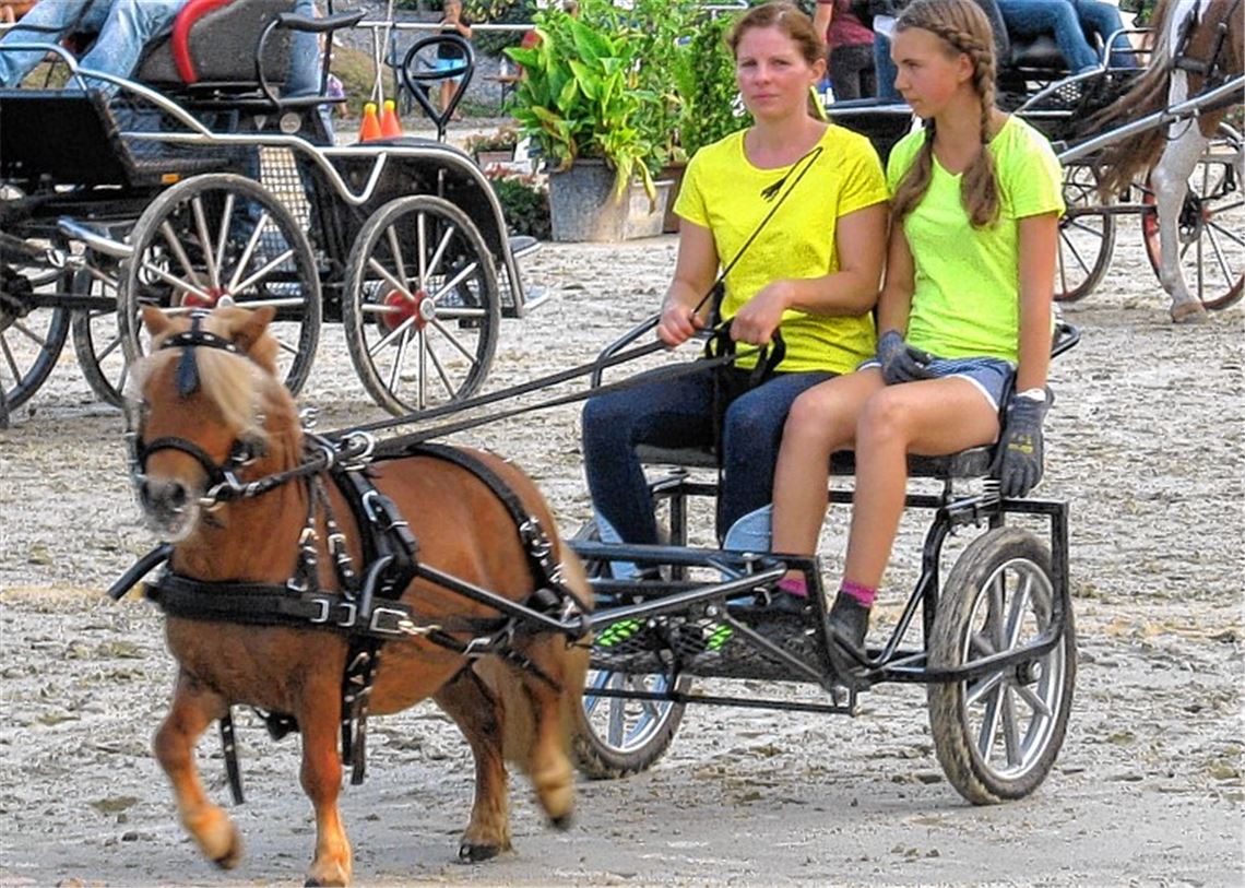 Kleines Pferd kommt als Turniersieger ganz groß raus: Verena Canbaz mit Speedy beim Aufmarsch zum Turnier.