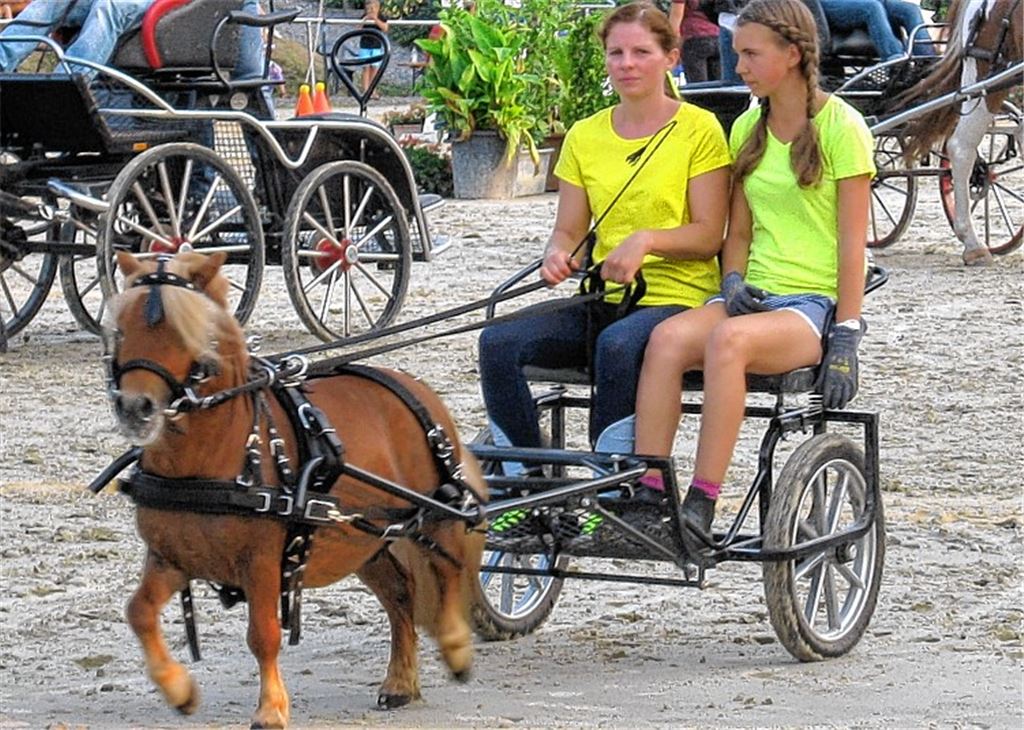 Kleines Pferd kommt als Turniersieger ganz groß raus: Verena Canbaz mit Speedy beim Aufmarsch zum Turnier.