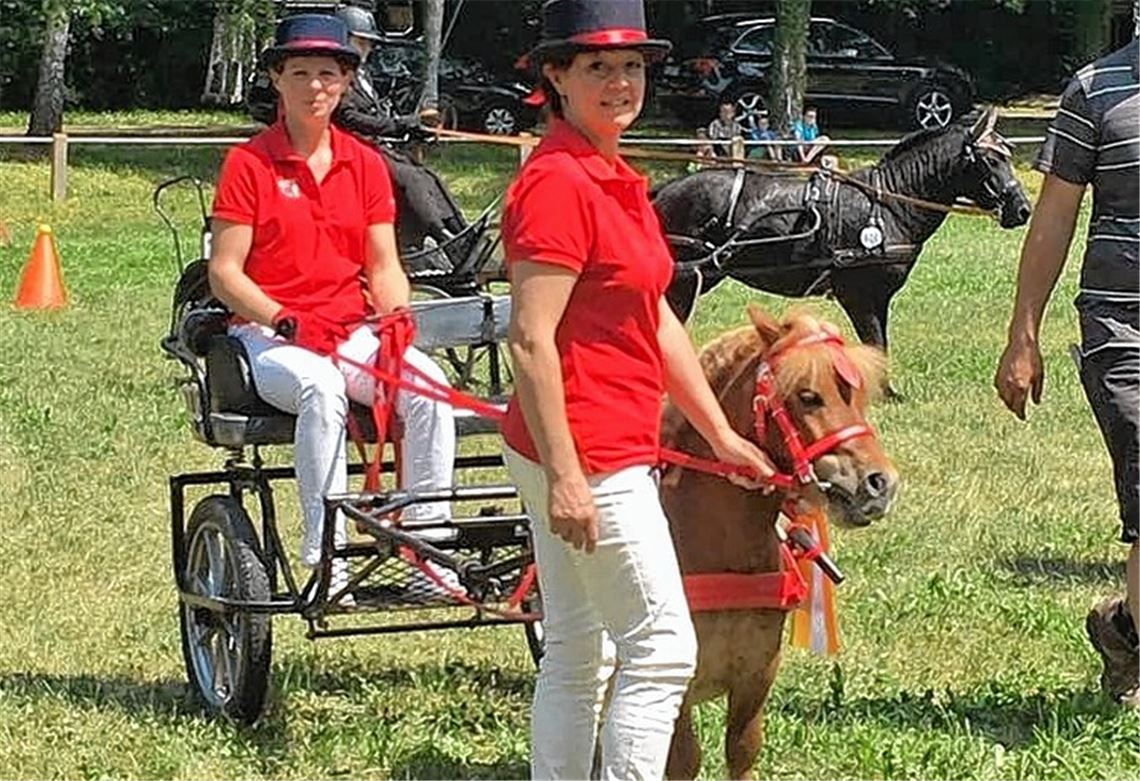 Kleines Pony, starker Auftritt