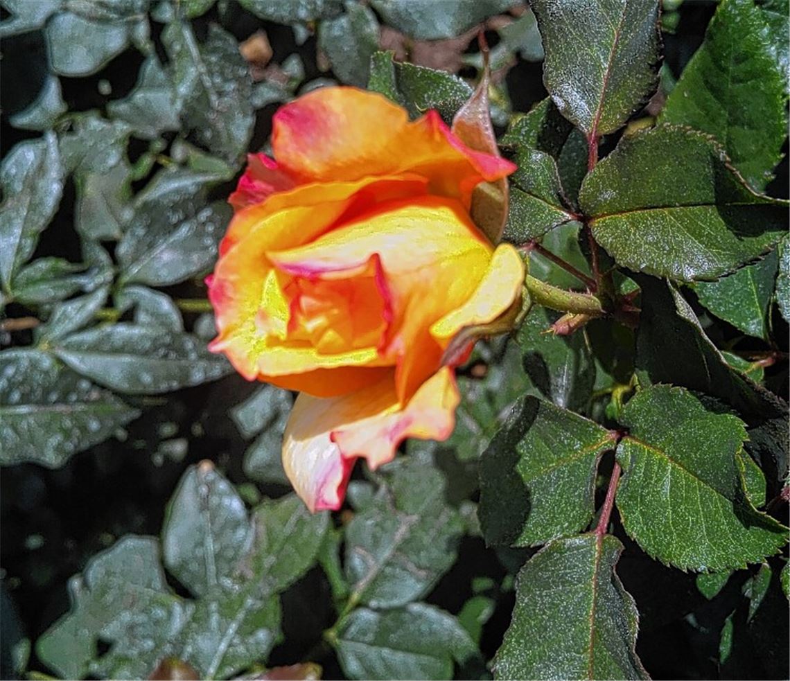 Sommerzeit Sommerzeit