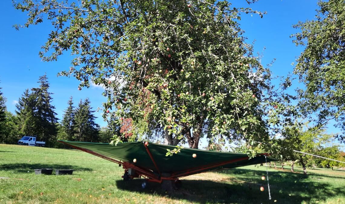 Kommt erstmals bei „mlgreen“ zum Einsatz: der Ernteschirm. Foto: privat