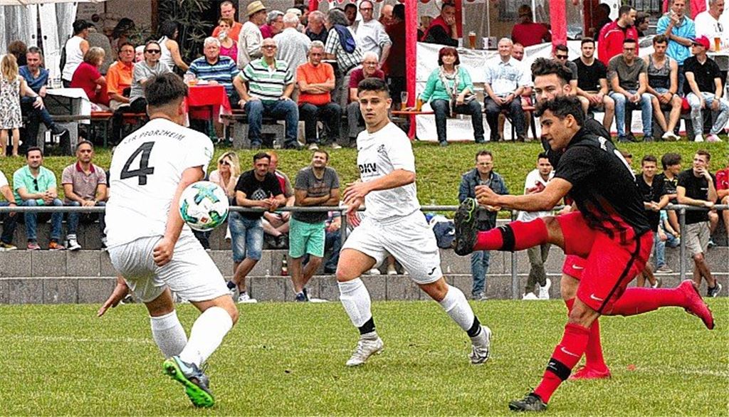 Das Programm bekommt Zuwachs