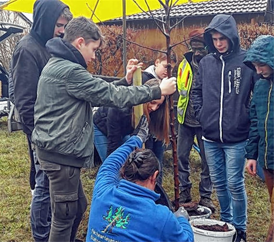 Konfirmandenbaum gepflanzt