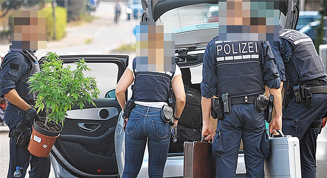„Der Begriff weiche Drogen passt nicht“