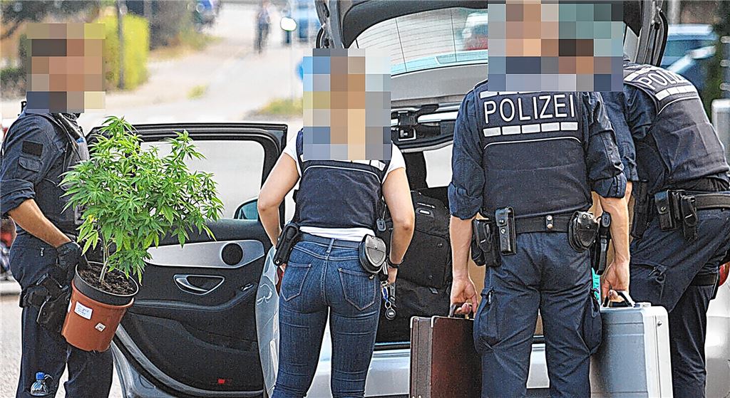 Konzertierte Aktion: Über 100 Beamte haben am 11. August Wohnungen in Pforzheim und verschiedenen Enzkreis-Gemeinden durchsucht und unter anderem Hanfpflanzen gefunden.Myroshnichenko