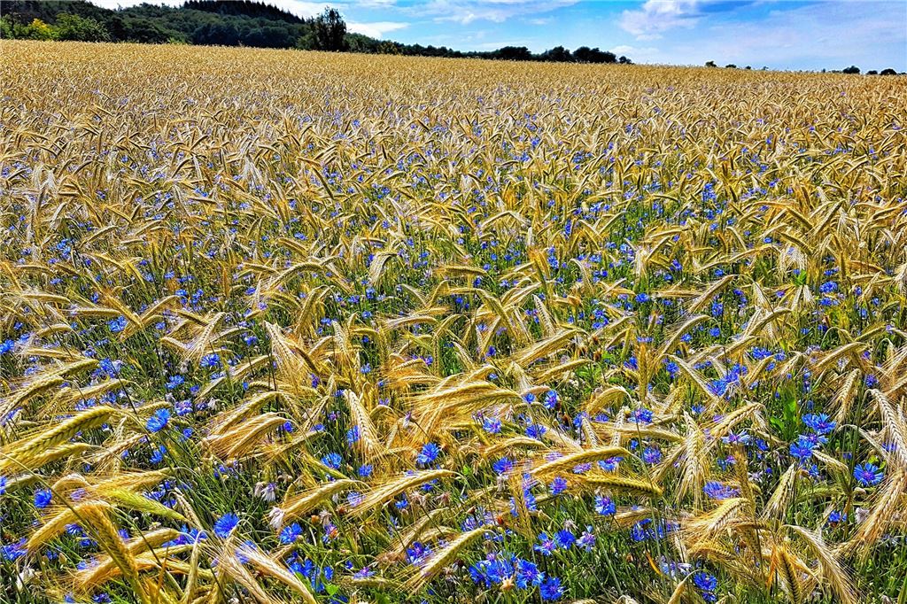 Sommerzeit