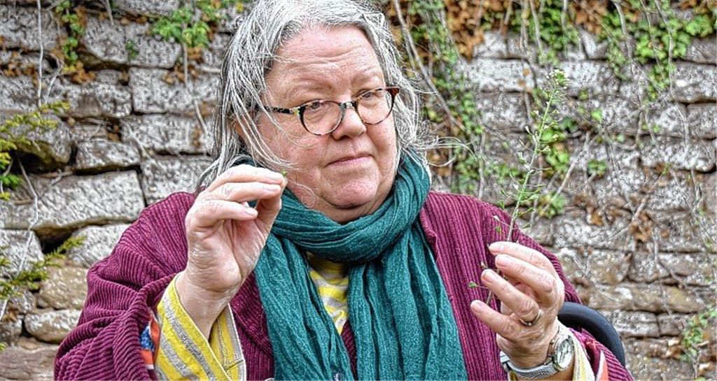 Ein Menü vom Wegesrand