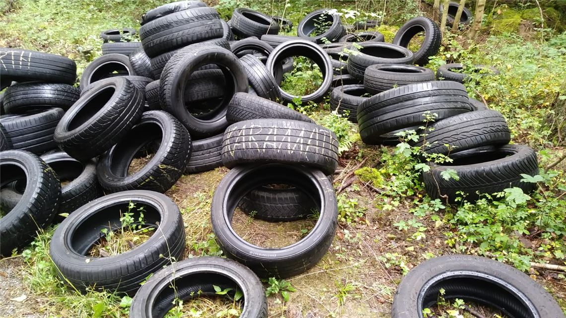 Die im Pulverdinger Holz entsorften Reifen