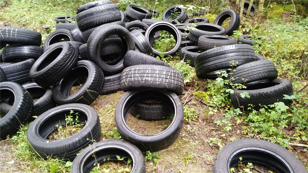 Die im Pulverdinger Holz entsorften Reifen