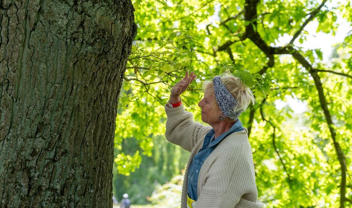 Kreativität und Innigkeit sind gefragte Aspekte beim Baum-Umarmen.