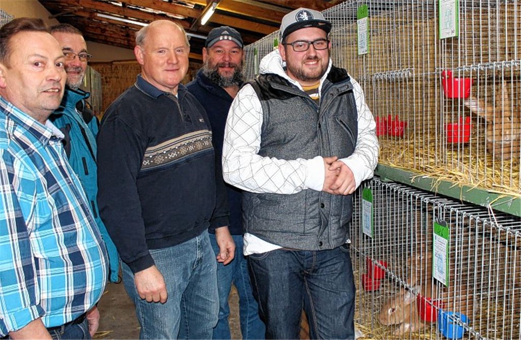 50 Aussteller präsentieren ihre Kaninchen