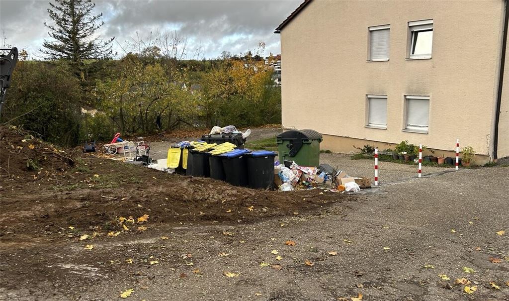 Kritiker der Zustände wundern sich: Die Pfosten verschärften das Müllproblem. Foto: privat