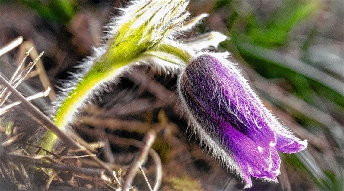 Frühlingsgefühle Frühlingsgefühle