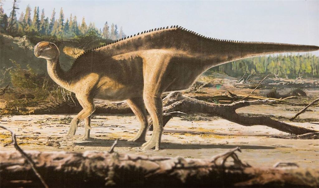 Künstlerische Darstellung von Istiorachis macaruthurae