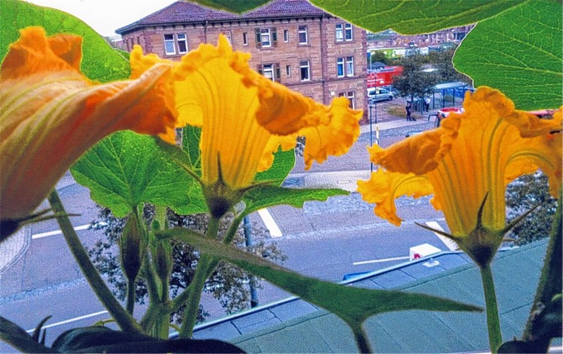 Sommerzeit Sommerzeit
