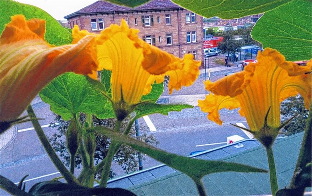 Sommerzeit