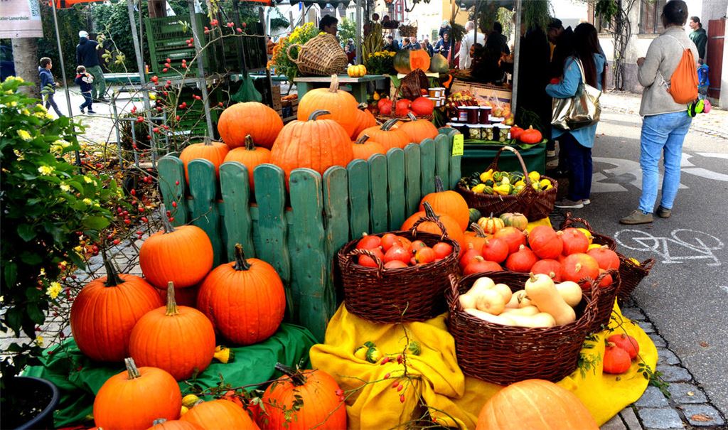 Kürbisse über Kürbisse – passendere Farben für einen schönen Herbsttag in Dürrmenz kann es wohl nicht geben. Fotos: Stahlfeld