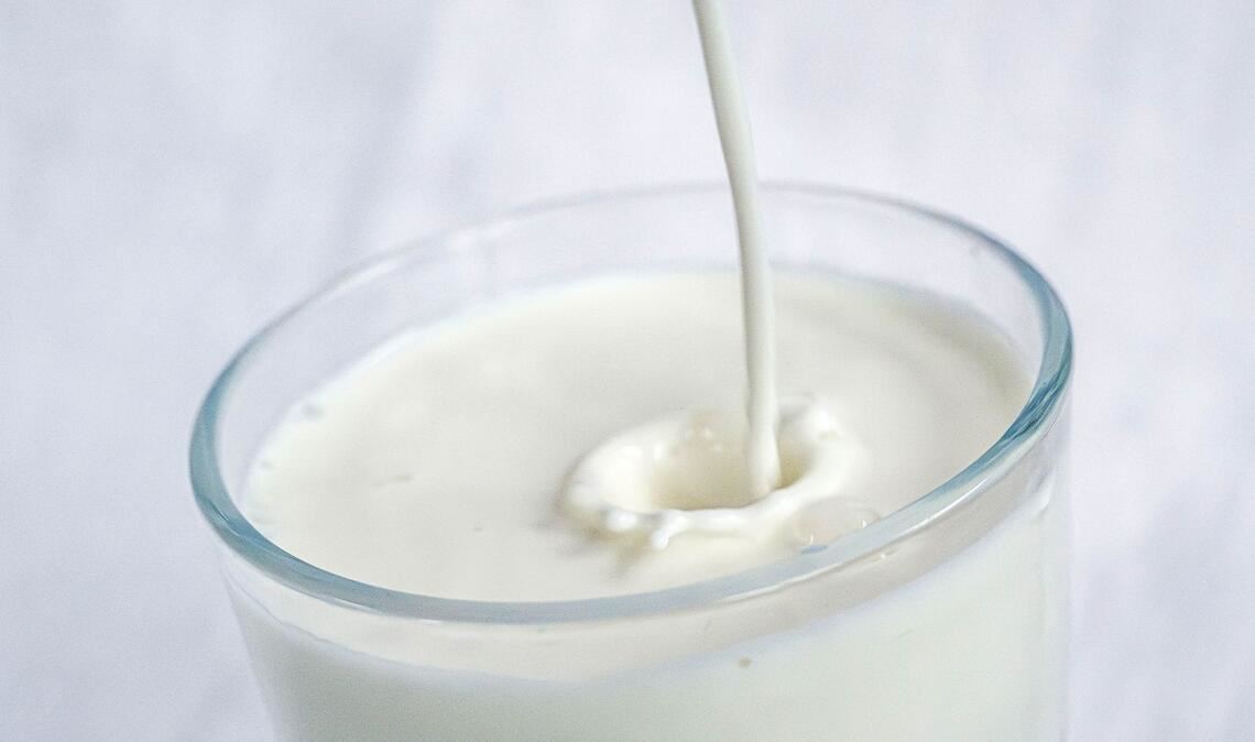 Kuhmilch - von Natur aus voller wichtiger Nährstoffe, aber in der Herstellung nicht unbedingt  gut für sie Umwelt
