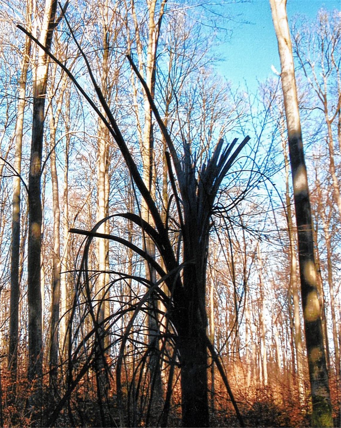 Winterbilder Winterbilder