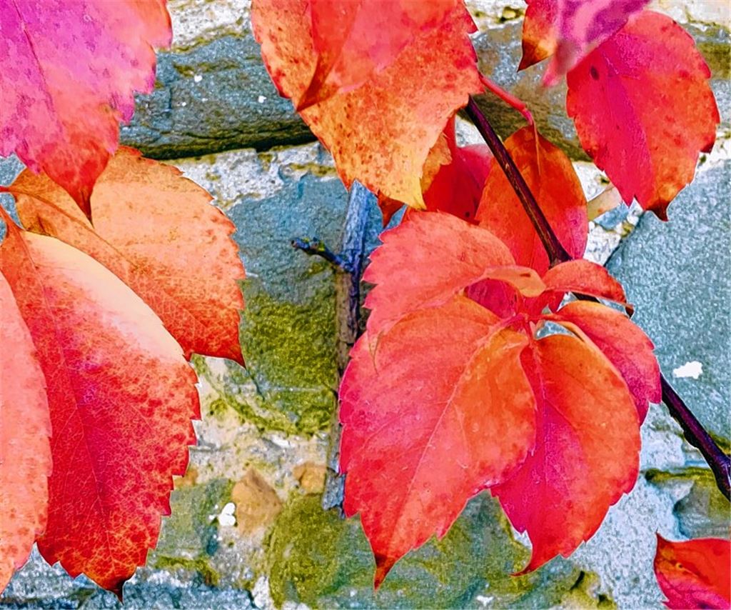 Herbstfarben