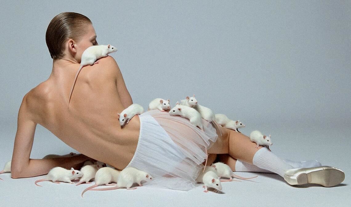 Kunsterzeugnis mit Hilfe Künstlicher Intelligenz: Arbeit aus der Serie „Magnifics“ der Stuttgarter Fotokünstlerin Monica Menez