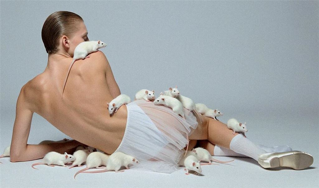 Kunsterzeugnis mit Hilfe Künstlicher Intelligenz: Arbeit aus der Serie „Magnifics“ der Stuttgarter Fotokünstlerin Monica Menez