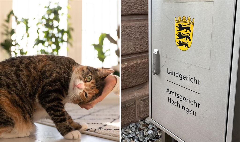 Kuriose Verhandlung am Amtsgericht Hechingen: Am Mittwoch ist eine Rentnerin wegen der Unterschlagung einer Katze verurteilt worden.