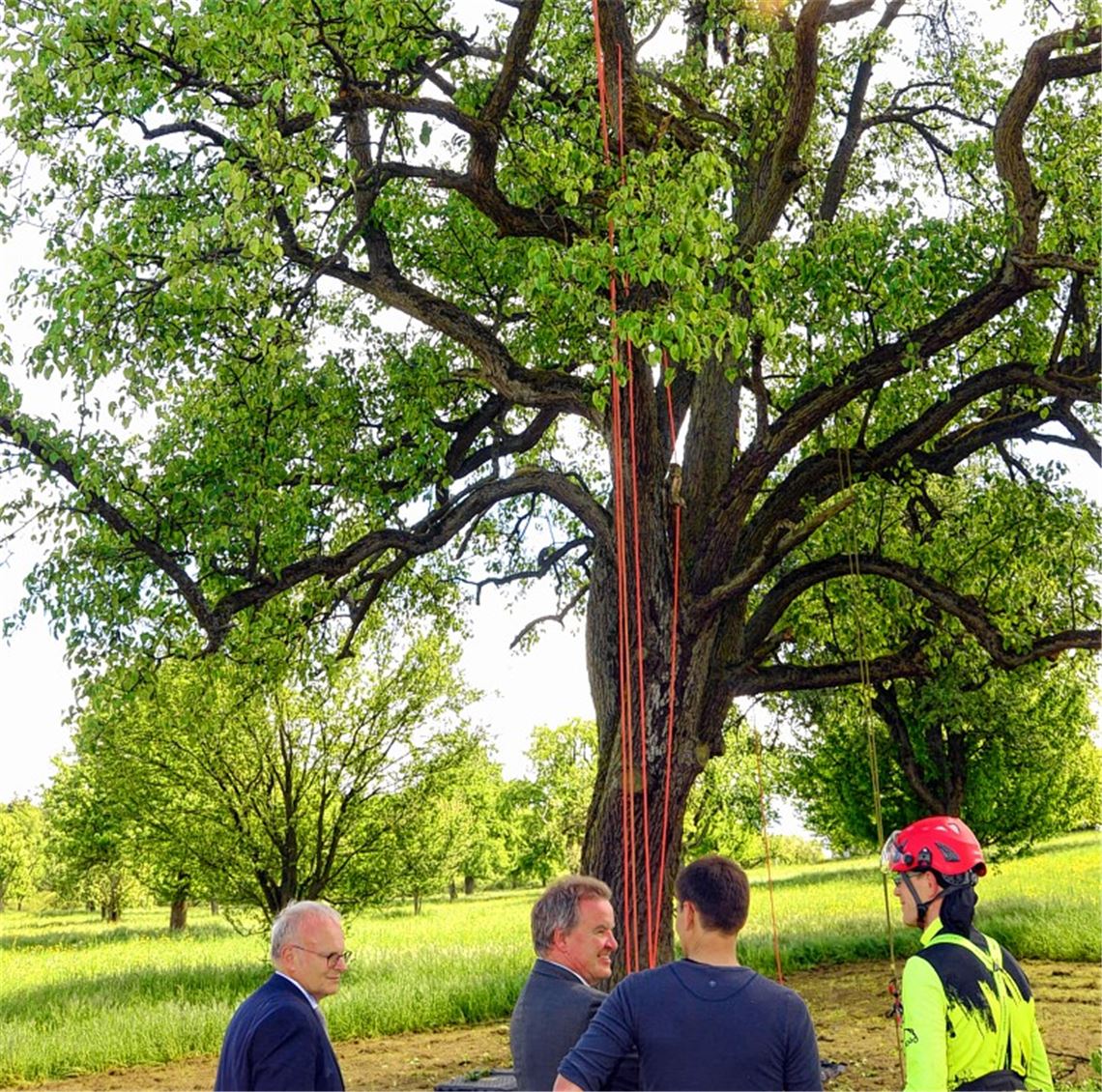 „Ich bin ein Riese in der Wiese“