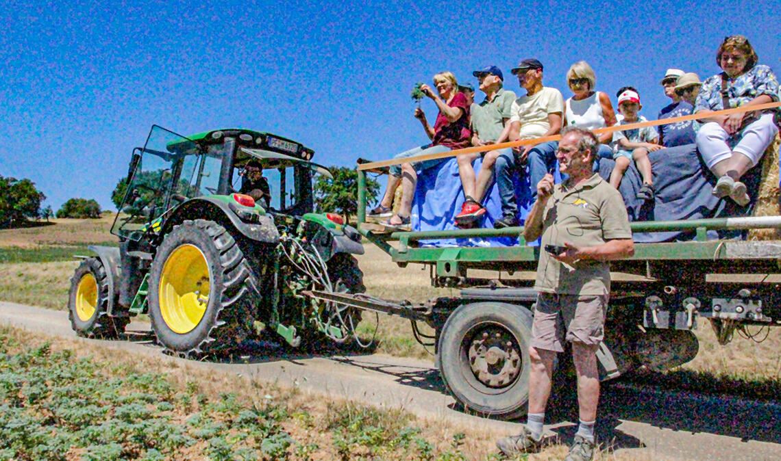 Landwirt Frank Bäuerle zeigt seine Kichererbsen-, Hirse- und Leinfelder. Foto: privat