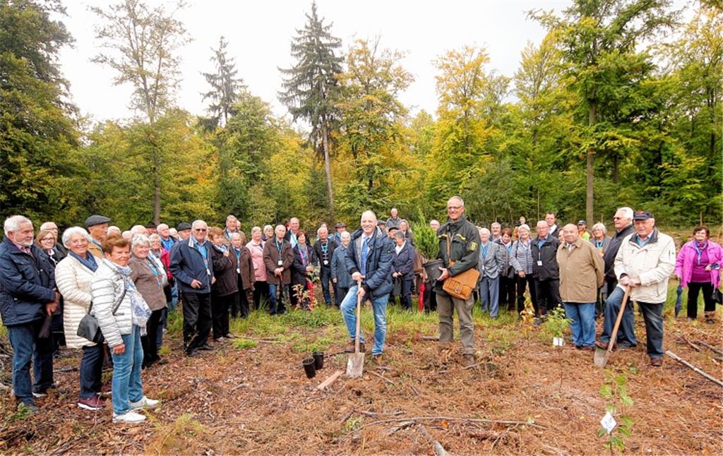 Ein Baum für jahrzehntelange Treue