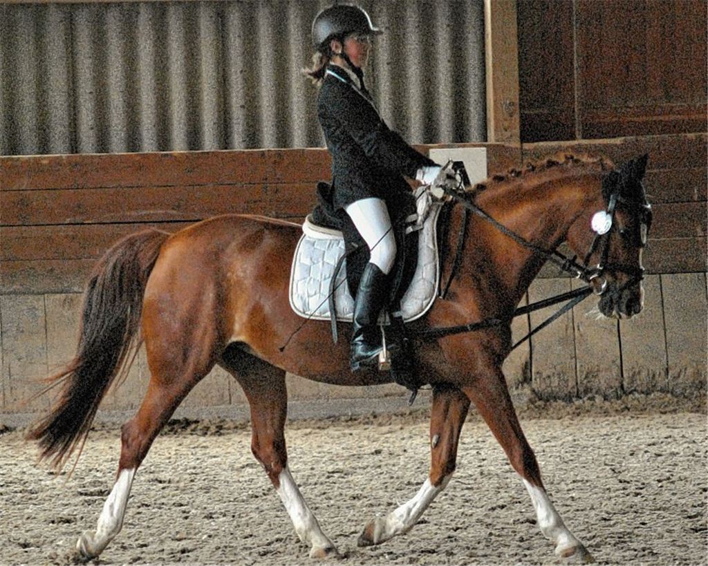 Lara Esposito gewinnt einen der Reiterwettbewerbe für Nachwuchsreiter.