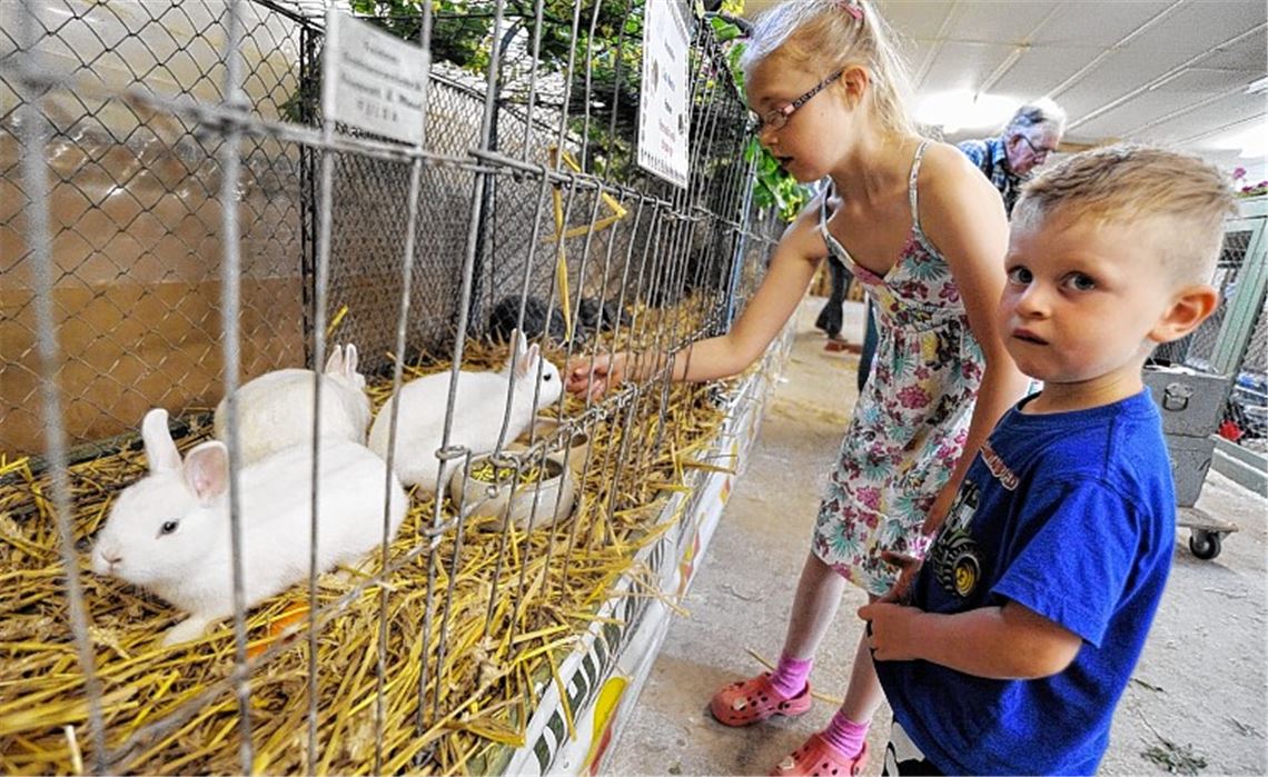 Laura Christiansen und Luca Feher (vorne) bewundern die Kaninchen.