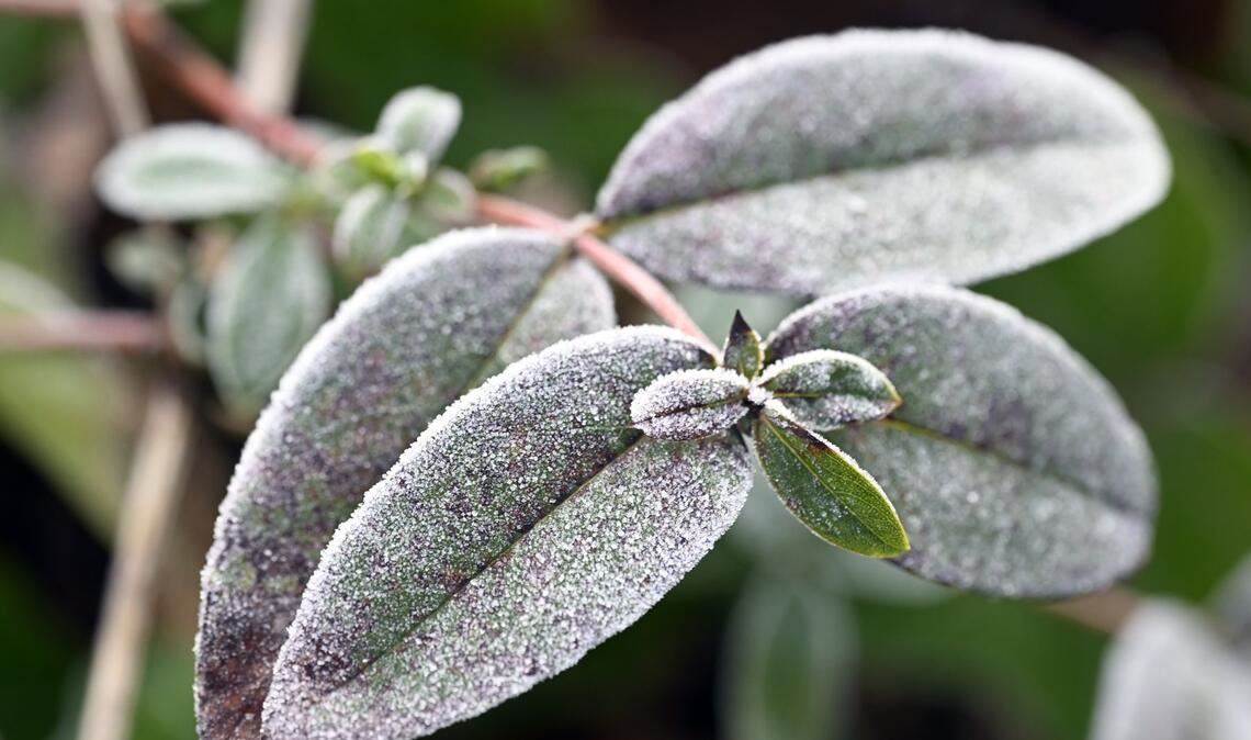 Laut Deutschem Wetterdienst (DWD) dürfte es in den kommenden Tagen deutlich ungemütlicher werden in Baden-Württemberg. (Symbolbild)
