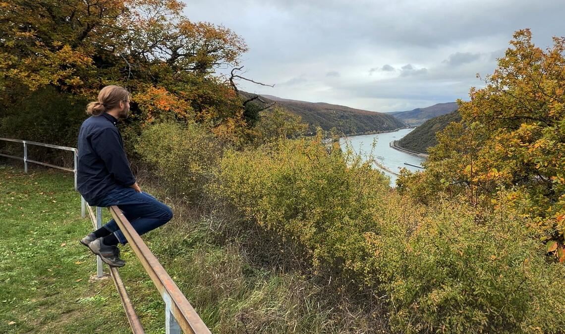 Laut dem Lagebild zur häuslichen Gewalt des Bundeskriminalamts (BKA) waren vergangenes Jahr rund 70 Prozent der Betroffenen weiblich und gut 30 Prozent männlich.
