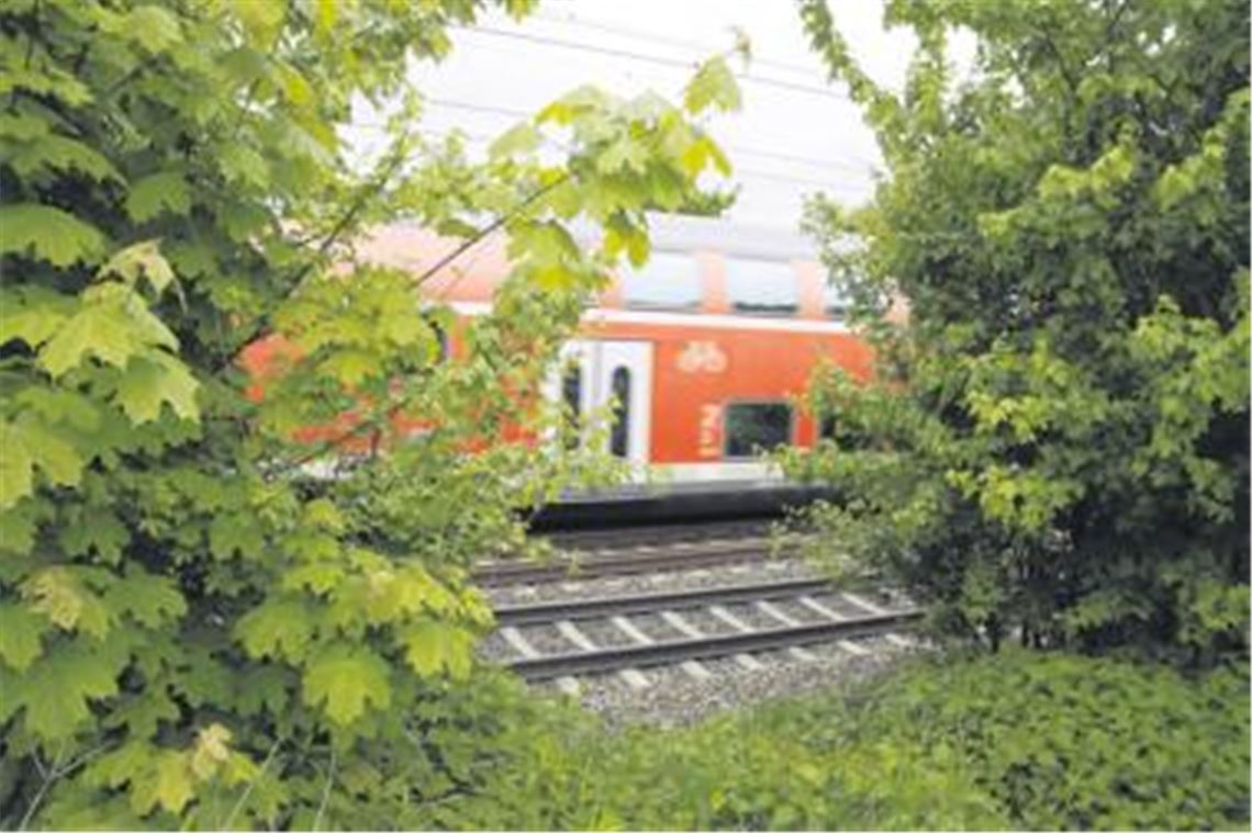 Lebensgefährlicher Leichtsinn: das Überqueren der Illinger Bahnstrecke.
Foto: Franz