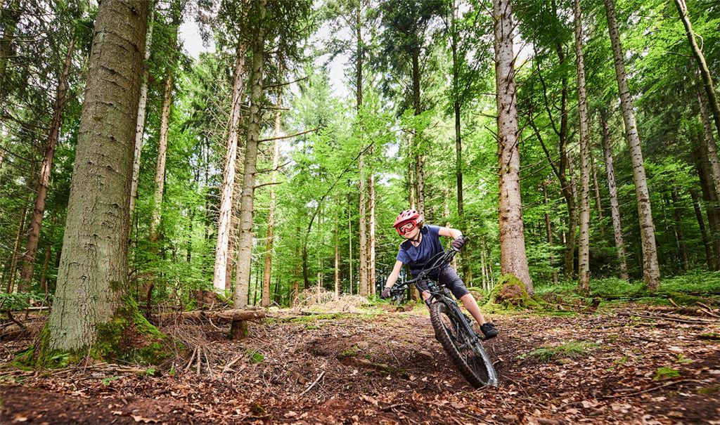 Legales Mountainbiken ist im Enzkreis möglich. Die Auswahl an geeigneten Strecken ist aber noch überschaubar. Foto: Privat