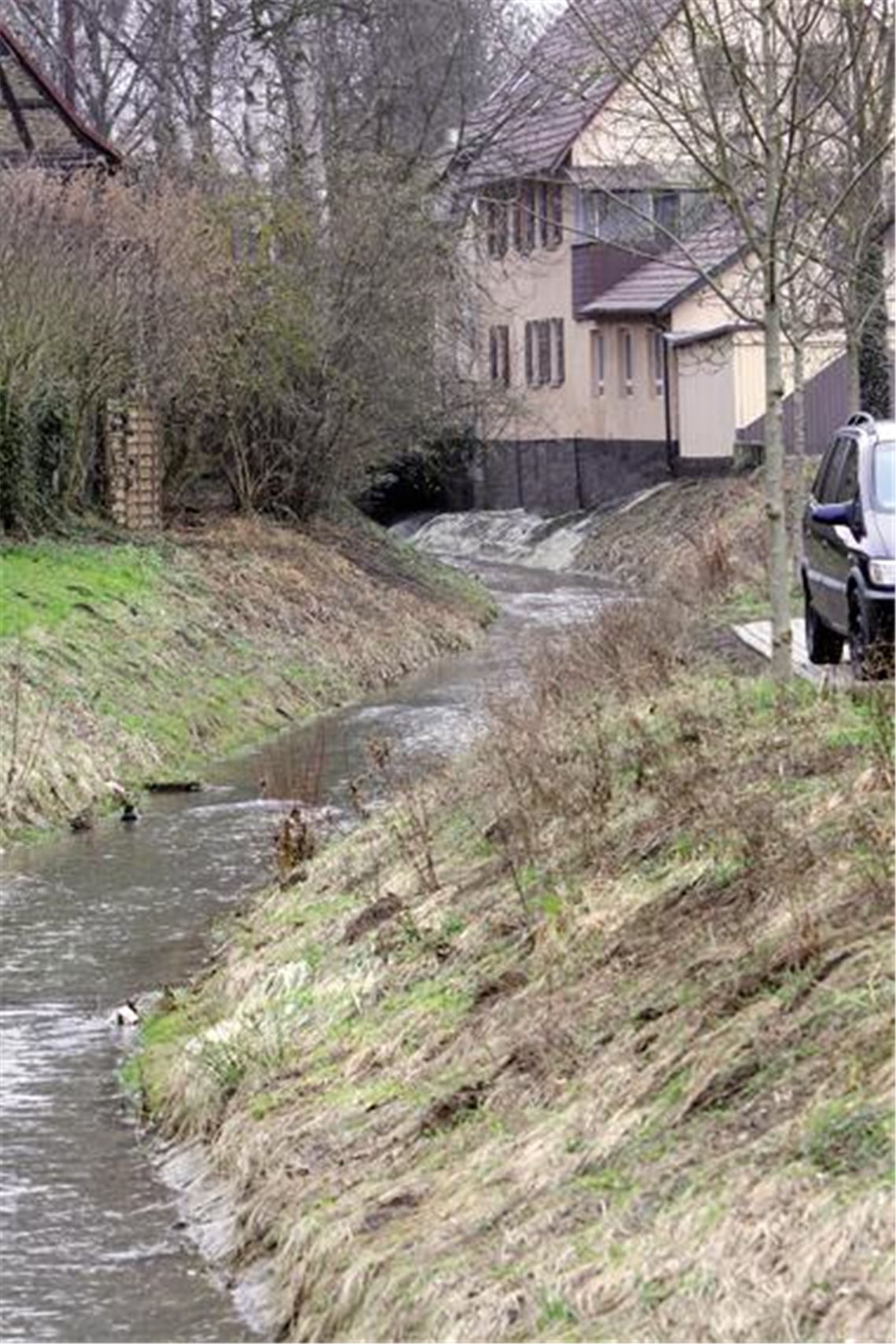 Leise plätschert der Schmiebach  hier parallel zur Bachstraße  durch Illingen. Aber schon bei mittlerem Starkregen reicht sein Bett nicht aus und er tritt über die Ufer. Foto: Goertz