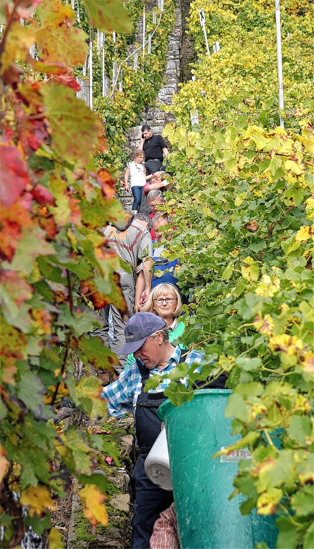 Lese im Enztal: Zumindest an diesem Wochenende lacht den Helfern die Sonne.