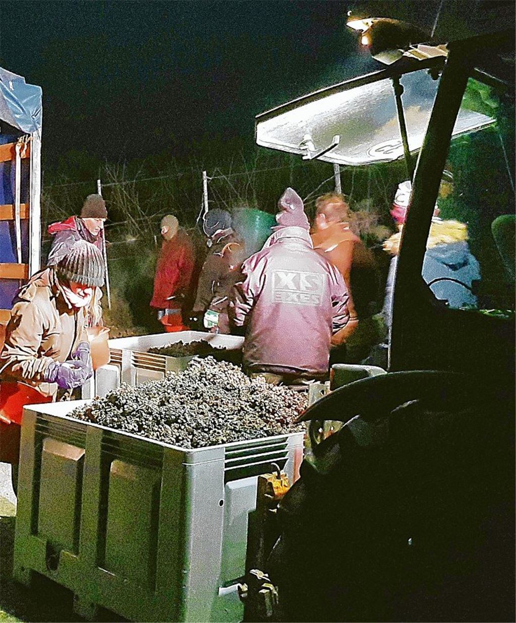 Die Herzen der Süßwein-Fans schlagen schneller