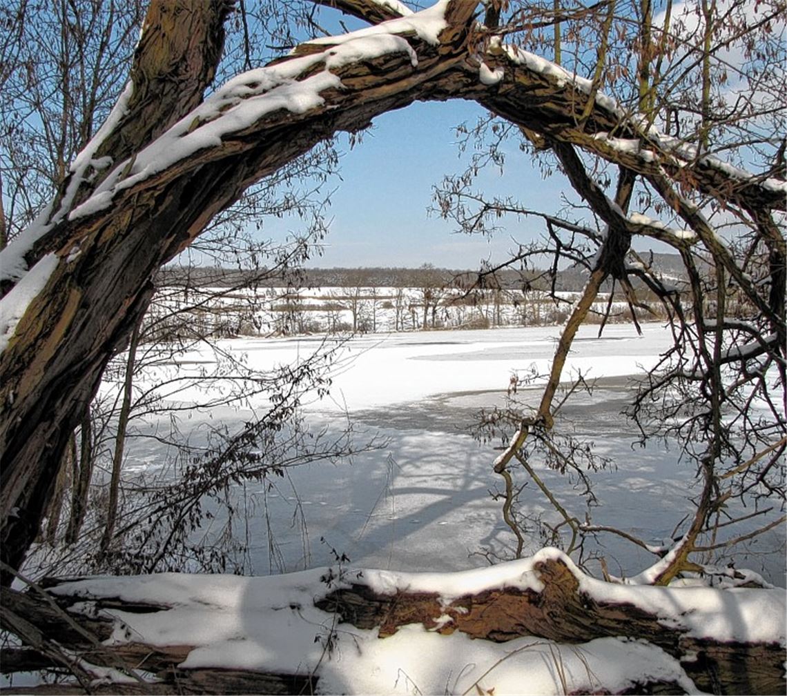 Leser Wolfgang Dorn hat den Aalkistensee im winterlichen Gewand in Szene gesetzt.