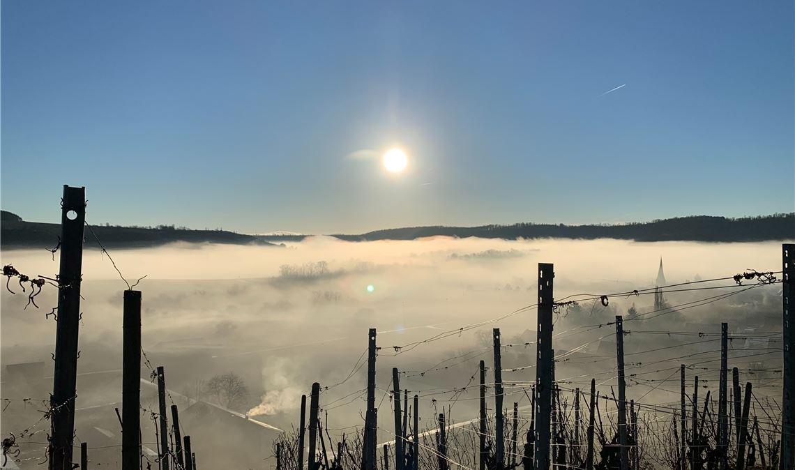 Fotos für Kalender 2023 gesucht Leserfoto: Ilka Weis, Mühlhausen