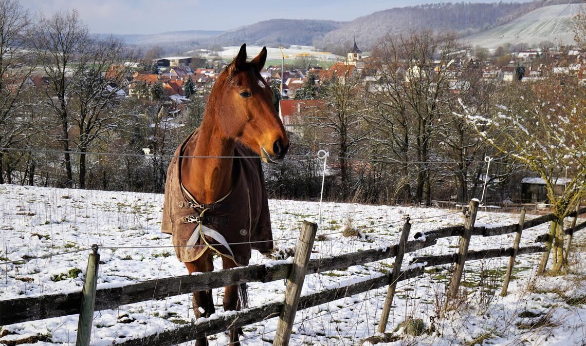 Kalenderfotos gesucht Leserfoto: Rudi Thalhäuser, Gündelbach