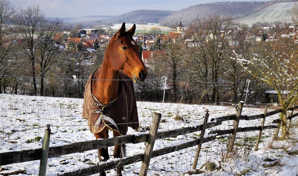 Leserfoto: Rudi Thalhäuser, Gündelbach