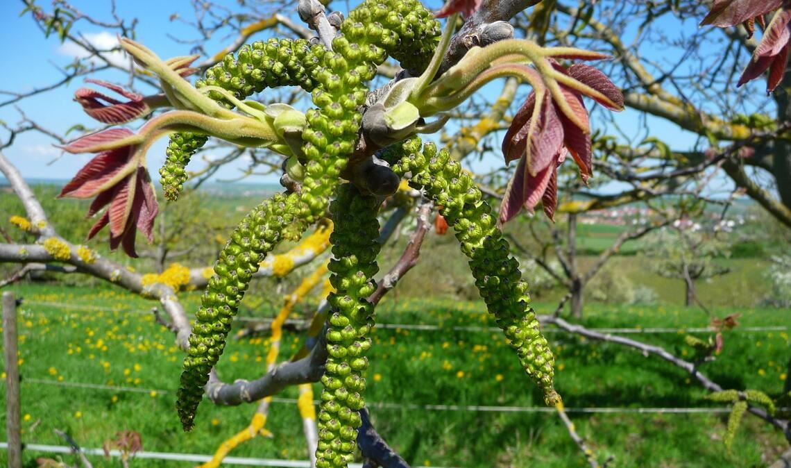 Leserfoto: Wolfgang Kroh