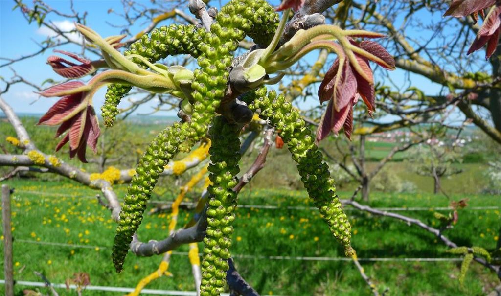 Leserfoto: Wolfgang Kroh