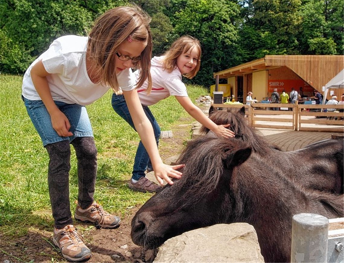 Letitia (vorne) und Lucienne Bäuerle streicheln die Ponys beim „Tag der offenen Tür“ an der Naturschule Stromberg. Foto: Fotomoment