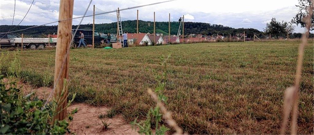 Jetzt fehlen nur noch die Tore...