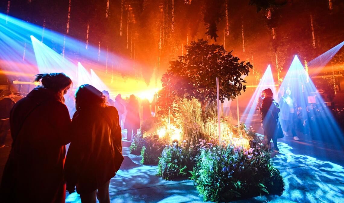 Lichtinstallation "Forest Seasons"